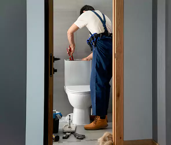 Professional Plumbers for Toilet Bowl Replacement in Orlando, FL: Schedule Affordable Toilet Replacement Services With Us