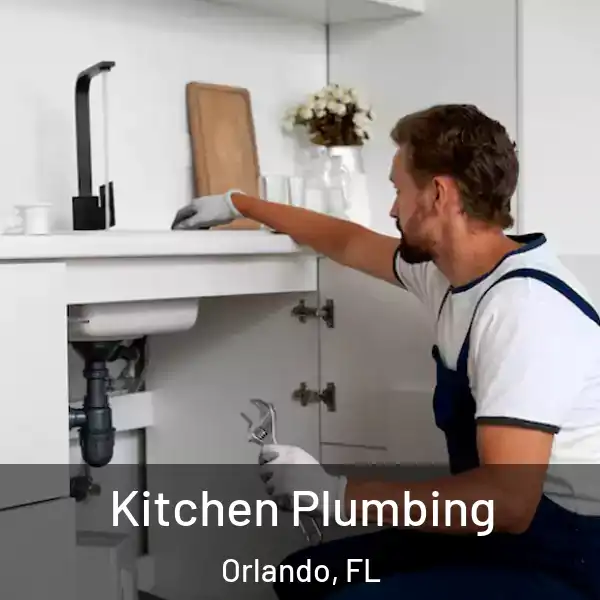  Kitchen Plumbing Orlando, FL
