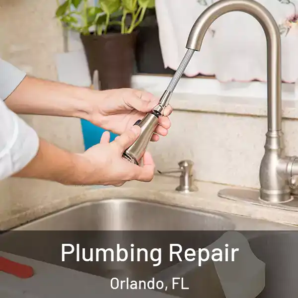  Plumbing Repair Orlando, FL