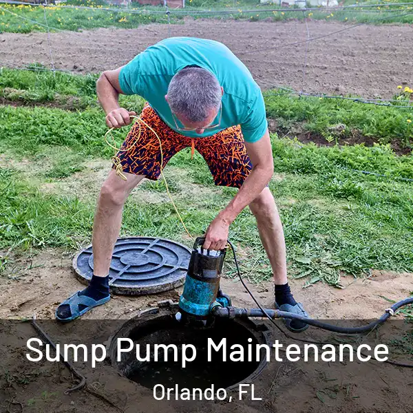  Sump Pump Maintenance Orlando, FL