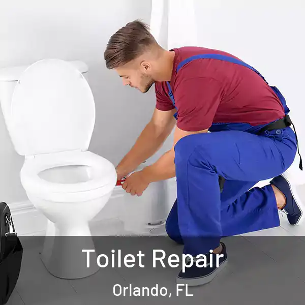  Toilet Repair Orlando, FL
